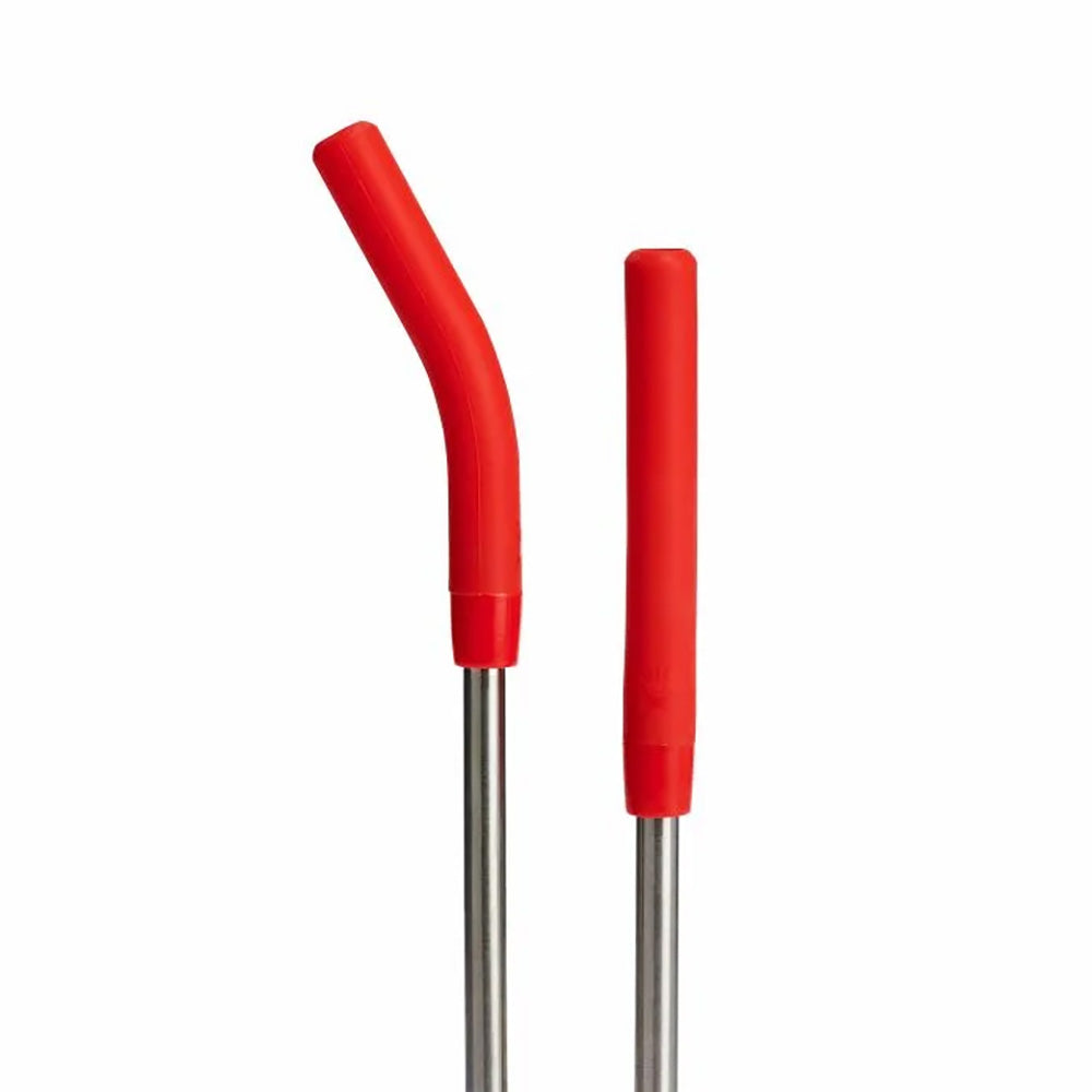 Hydro Flask Stainless Steel Straw Set Goji