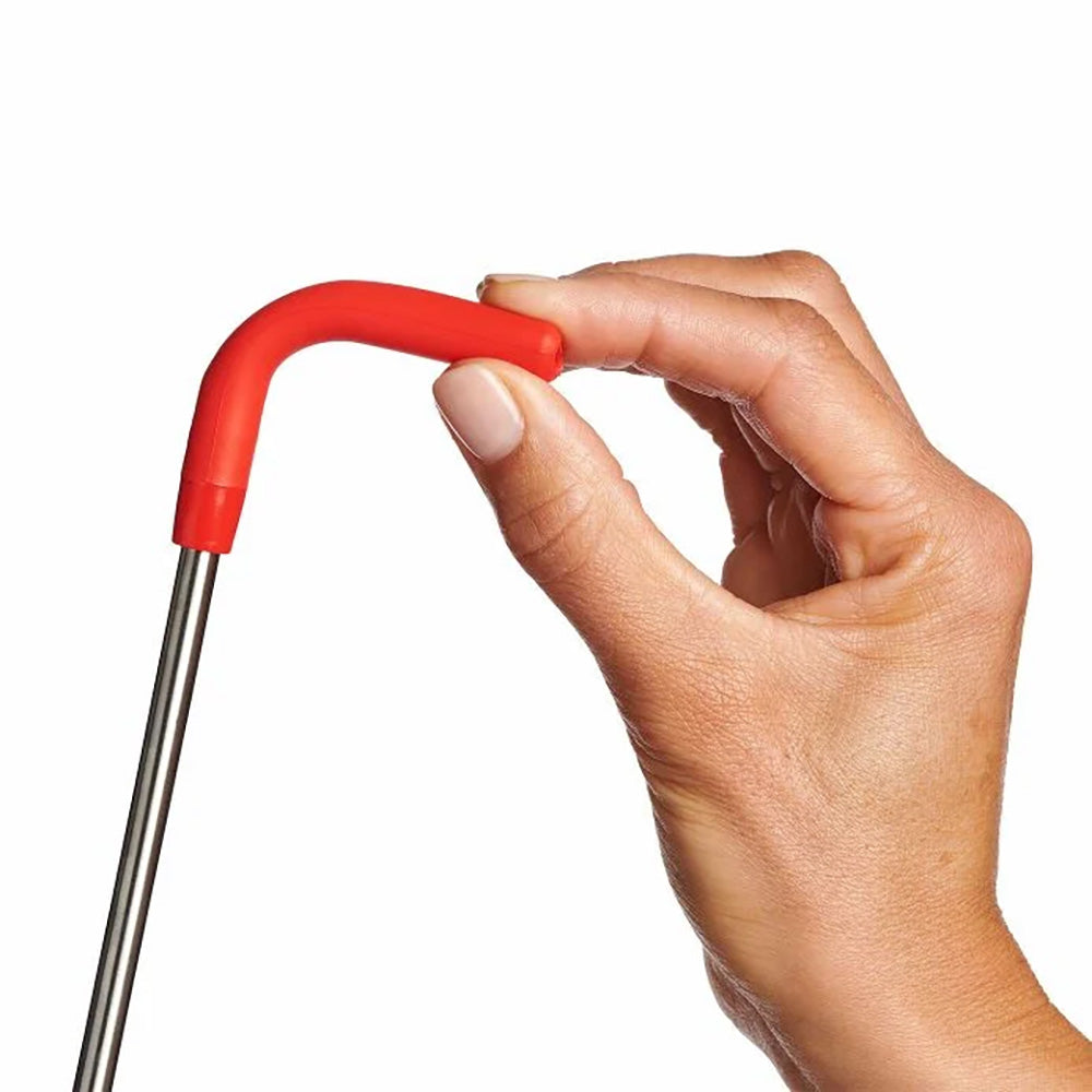 Hydro Flask Stainless Steel Straw Set Goji